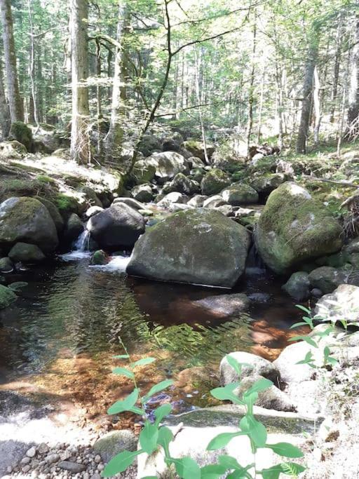 Le Gite De La Tranquilite Sainte-Foy-Saint-Sulpice Kültér fotó